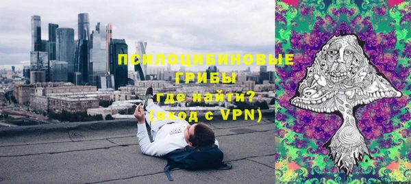 прущая мука Инта