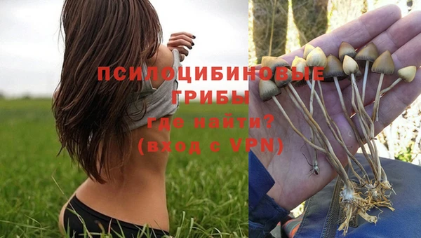 прущая мука Инта