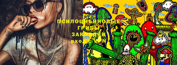 СК Иннополис
